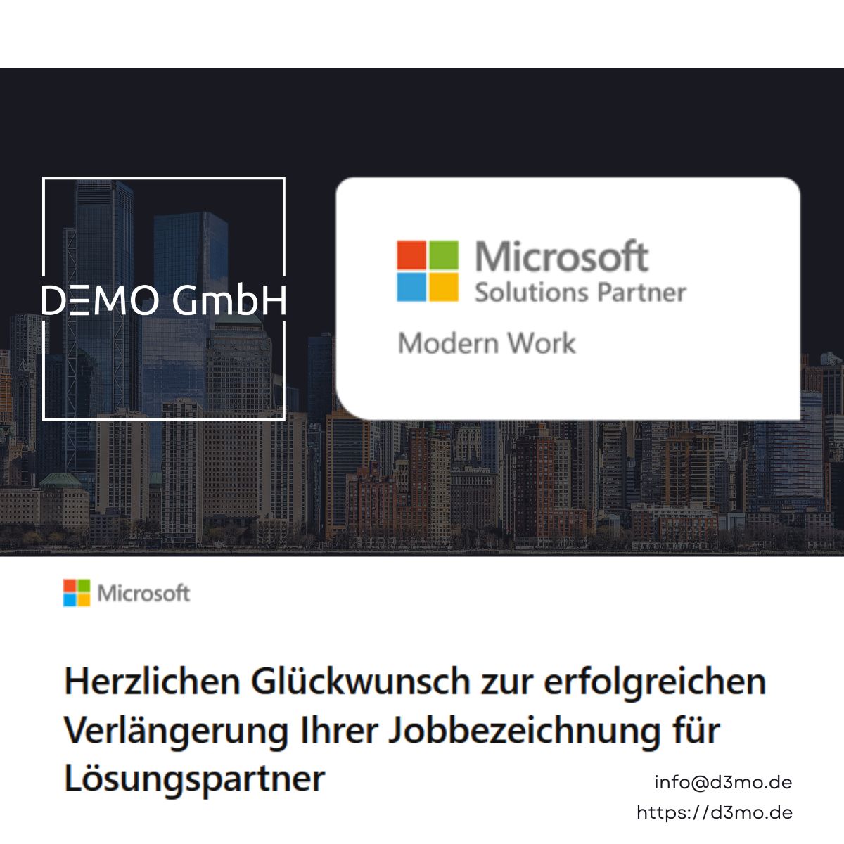 MS_Partner_2024